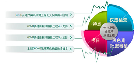 �����Ʒ�GX-B ��ѧ����